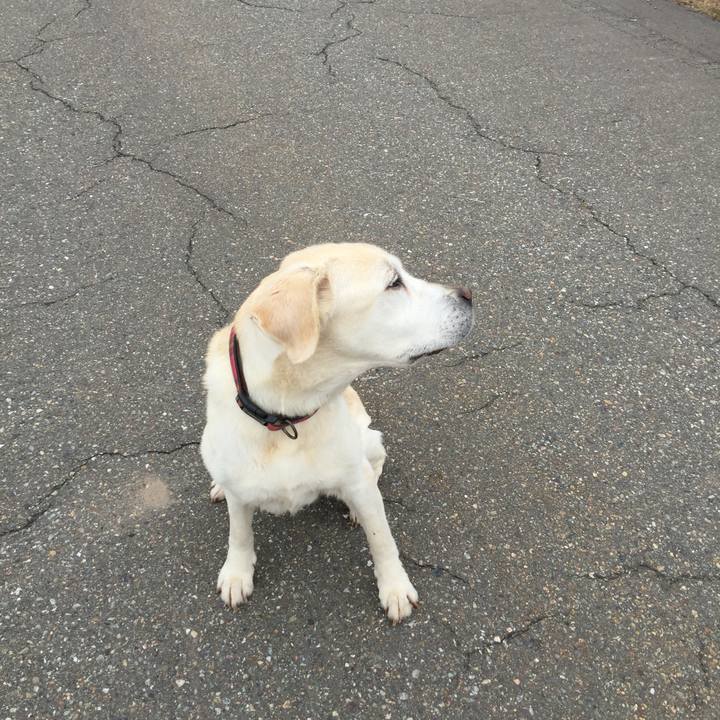 70ced158 0da1 478b a74b 0bfc29587431 1528249302606