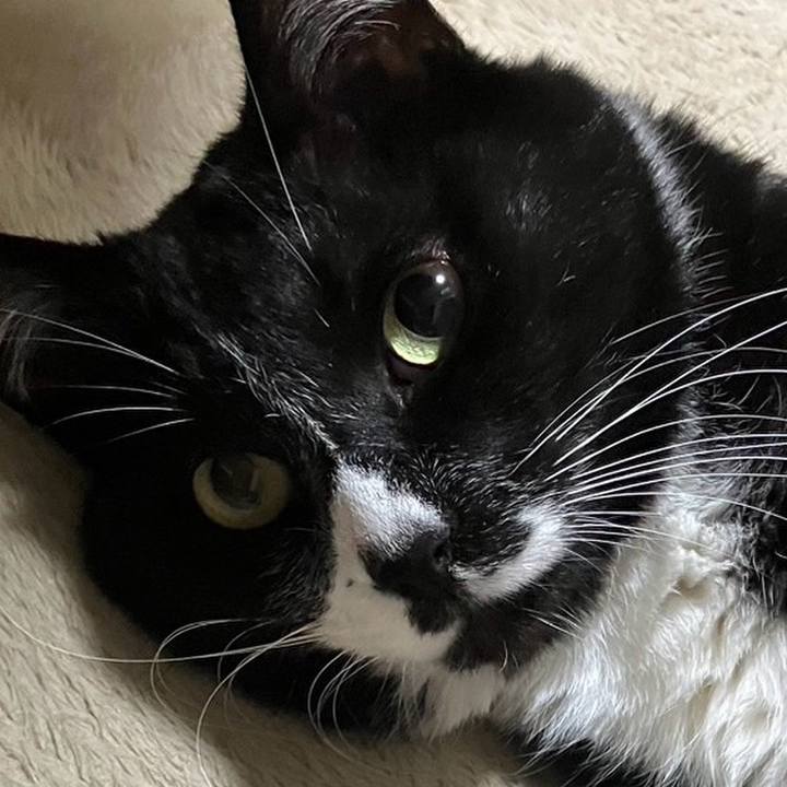 70cf0aad 21d8 4c46 aac8 0f7708b2155b 1718451514221