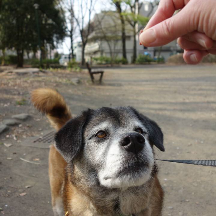 70cf3c0a 616c 42f4 a793 2214d3b3fc96 1663976640849