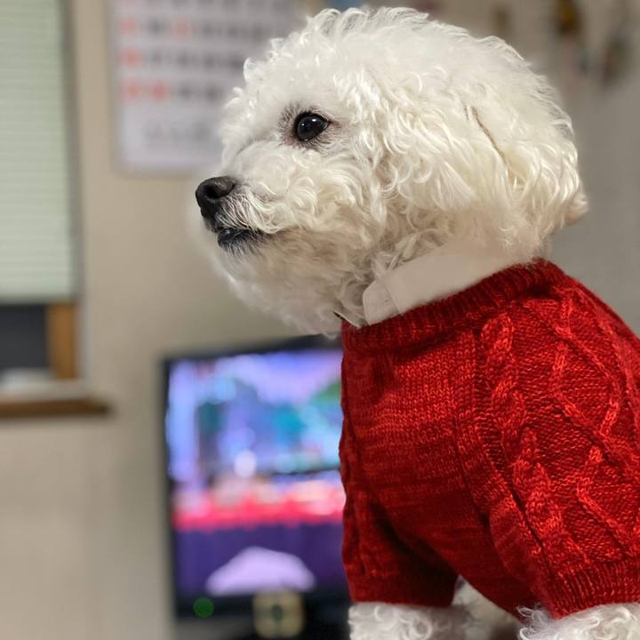 70cf6b1b c9d3 4573 bbcf 4b3e10ac7927 1580936330720