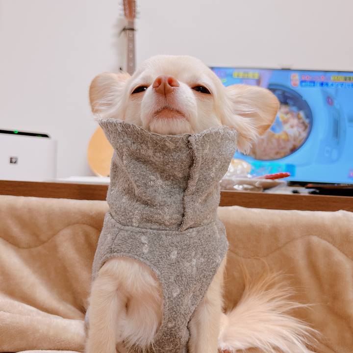 70cf6c24 1f31 4e01 9394 7d25679f4099 1674560263377