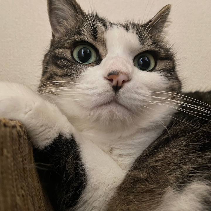 70cf9f55 79e5 4c70 b8aa 0d9855ded1b9 1698101639315