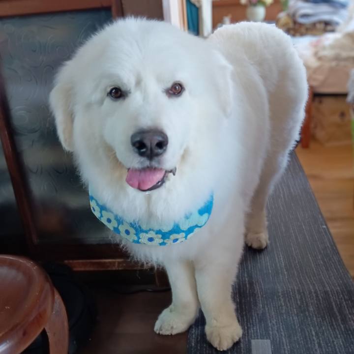 70d01748 abdd 47cb bb06 9fdef6d4af01 1716727515093