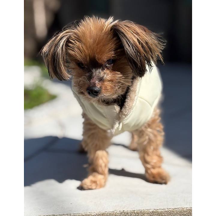 70d02983 6617 4d5c bc79 742357e39572 1772861300724