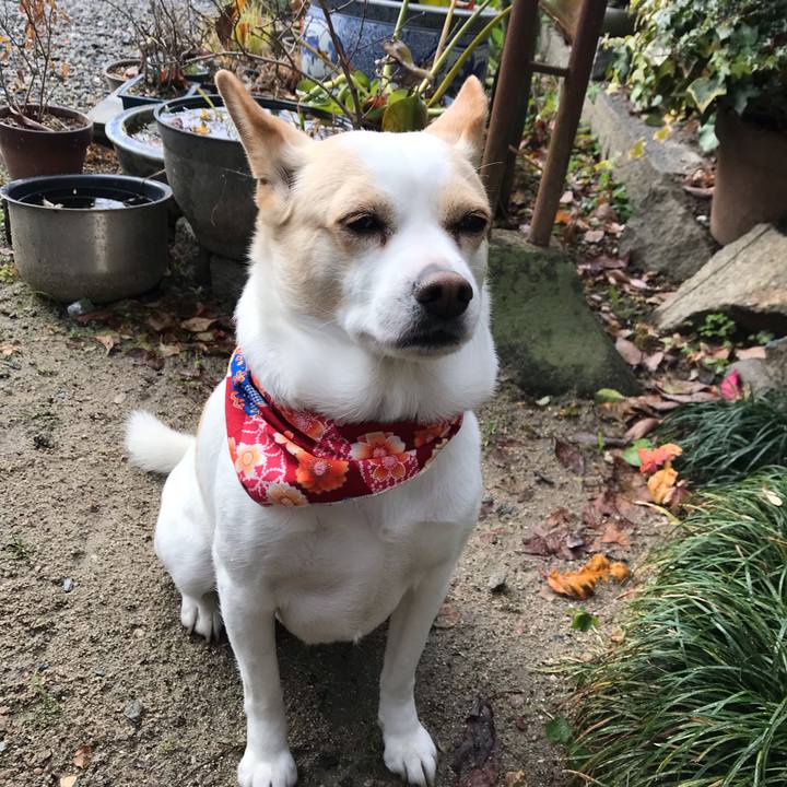 70d03801 0a16 4076 b94f 64cb8fc90304 1609904922328