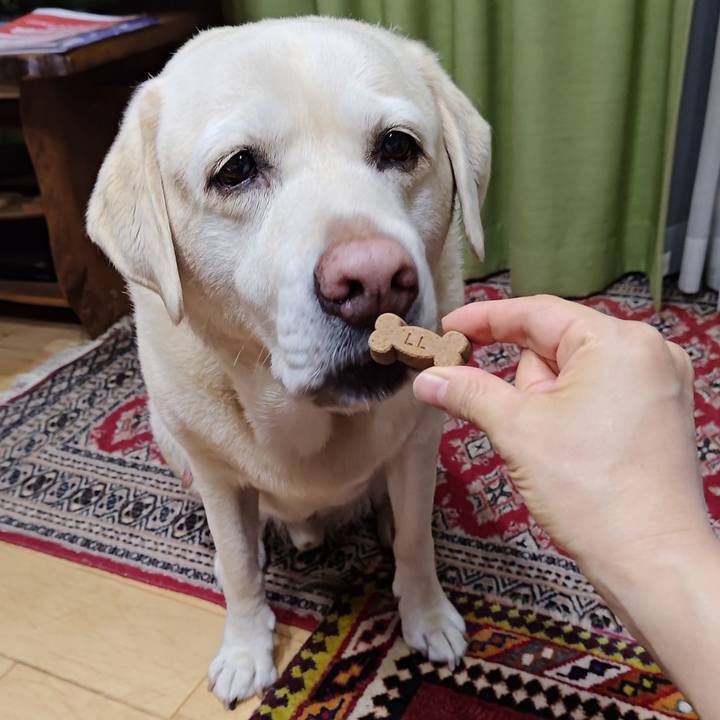 70d041e7 ca12 4a56 b38e 7feae7b0e6b5 1730632238497