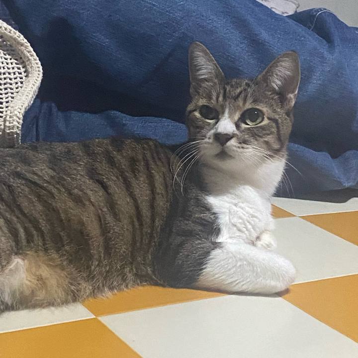 70d0a9f3 150b 4c78 a0ae bfd5ff02513c 1729339650966