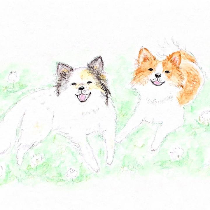 70d0b6c8 5117 41b3 adb0 2da0bdc9eaf3 1653208417483