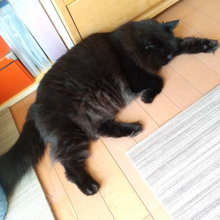 70d0cf0e 35a9 4a8a bc80 311294e10f78 1625025863679