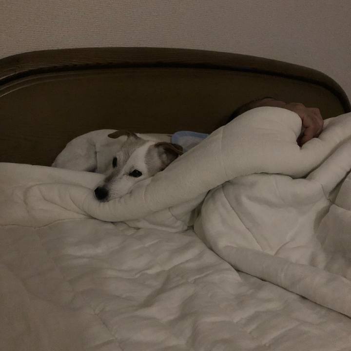 70d0cf87 8fe5 4520 9729 83328a0c00da 1538398188057