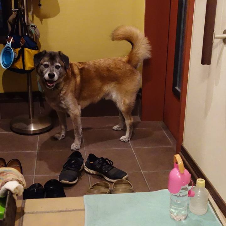 70d0e63c beb2 4d99 9d73 092abbf0ed54 1566729923509