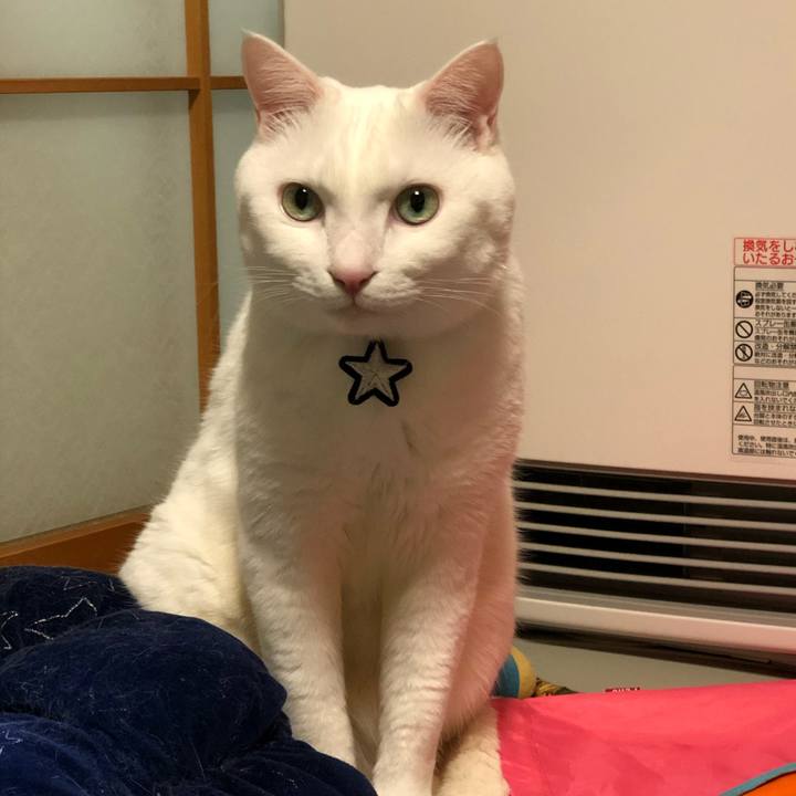 70d0eee4 ee55 4c38 beae 823c1466a4c1 1574685496059