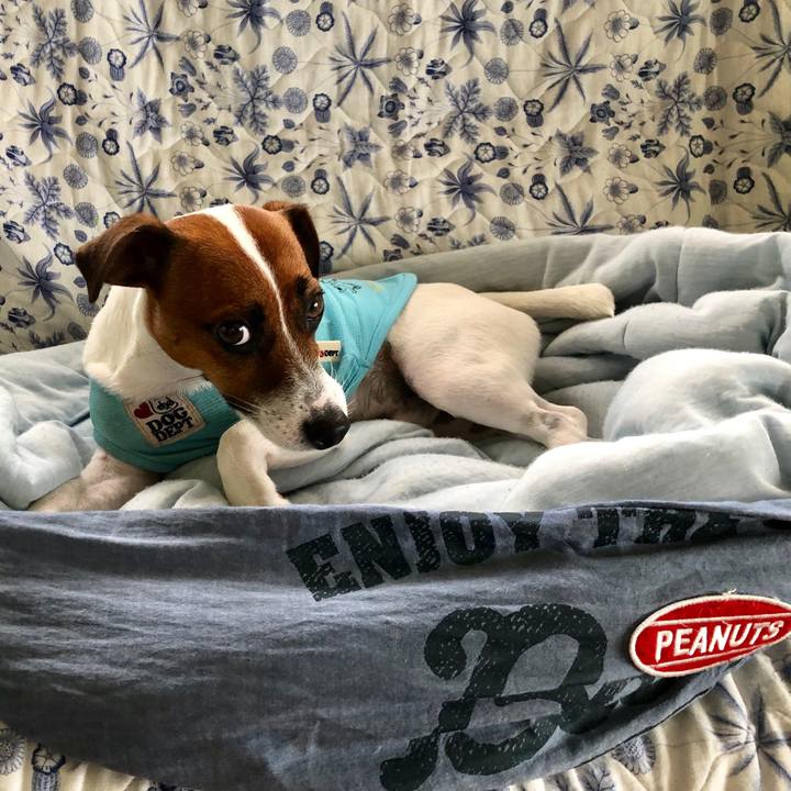 70d105f5 bb90 4b42 ac94 14d710a99d27 1566399666214