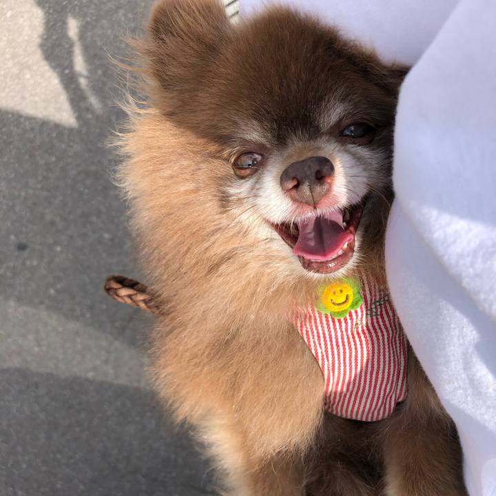 70d10b59 3fc2 45e3 a89a b25e1dc29d09 1626051344955