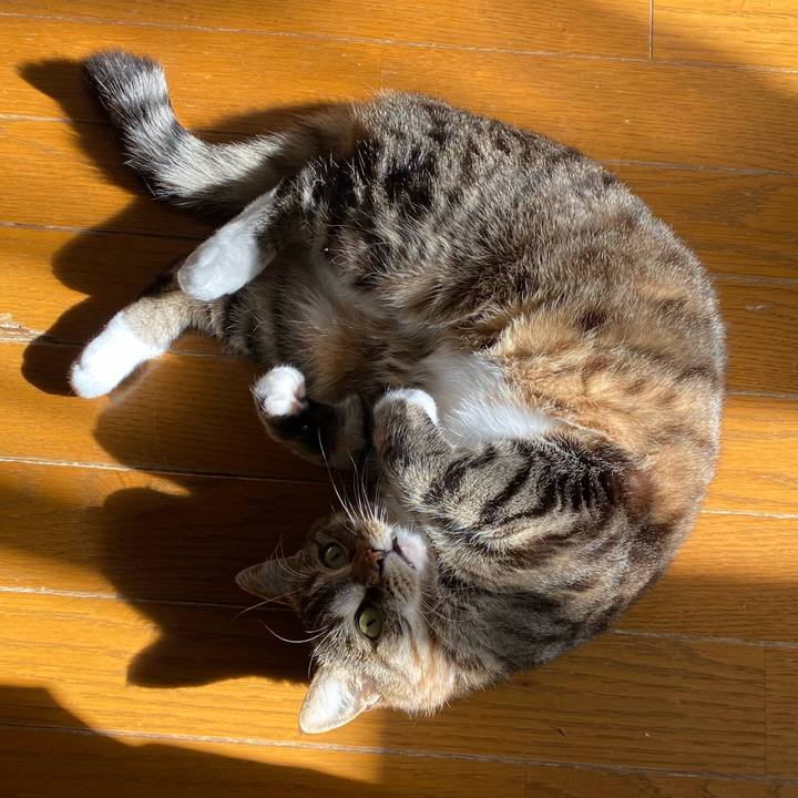 70d128e2 f7cb 4c9c ae78 9ea533c20589 1641352707607