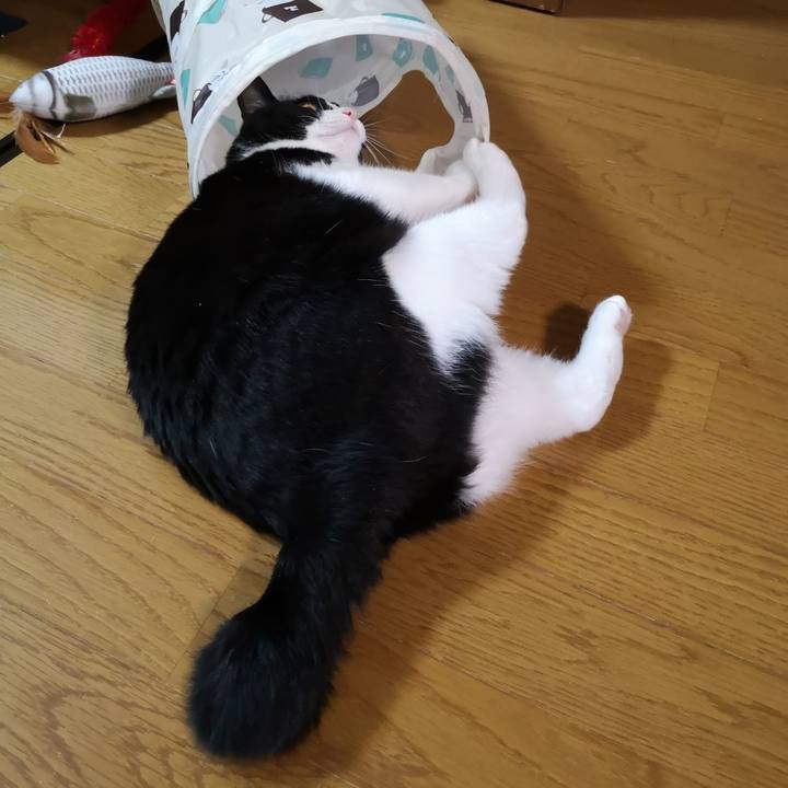 70d13d01 8087 480e a685 cc7e8ba3adad 1560346947811