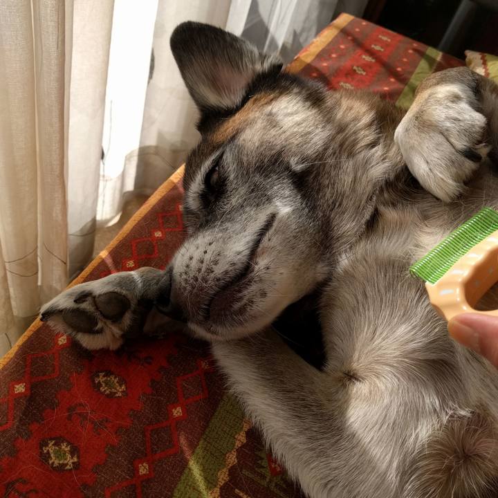 70d156ae 734d 41b0 85dd acd077ef2e69 1510375903090