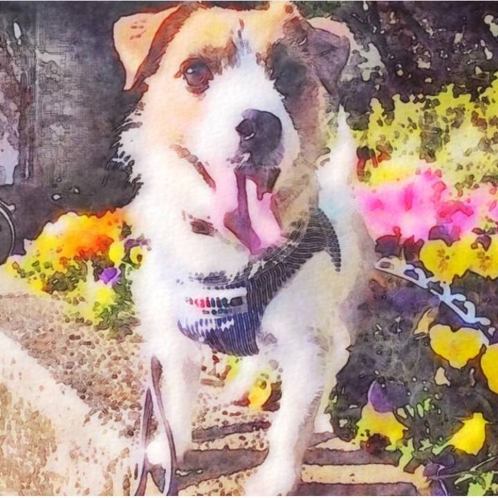 70d186be 416b 41c0 9f89 cb2800ea0bec 1524974891841