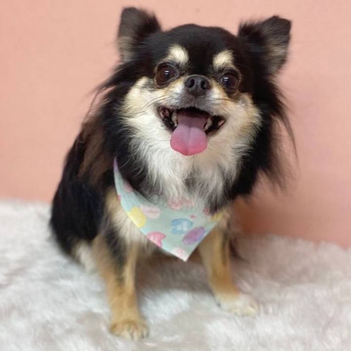 70d1ab73 3a74 4d45 be5b cd93ed361461 1664412886744