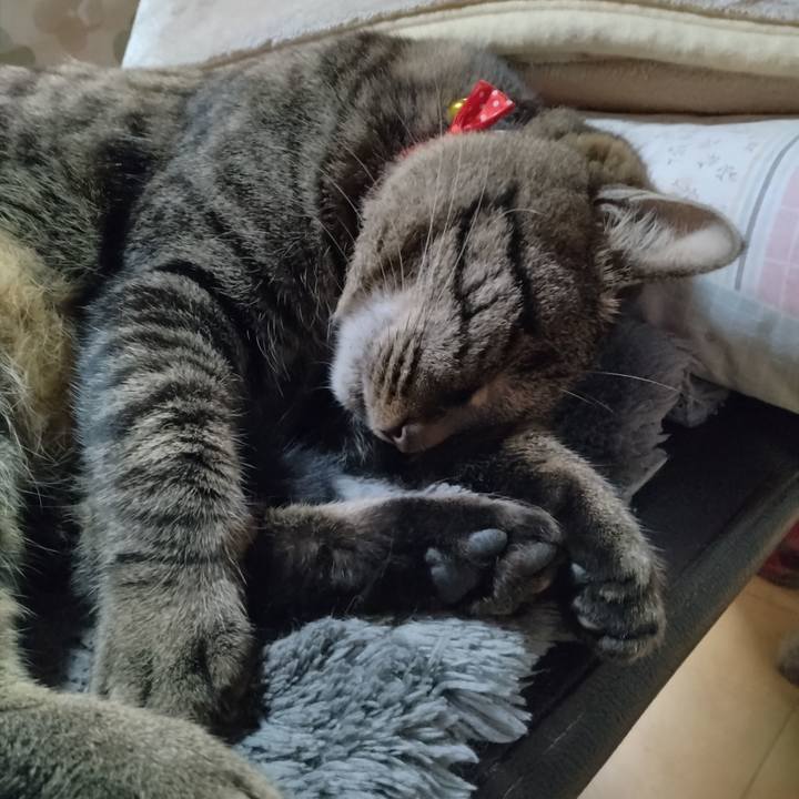 70d26619 8e3a 4d8e 807d 3b10c7e874d7 1671151044847