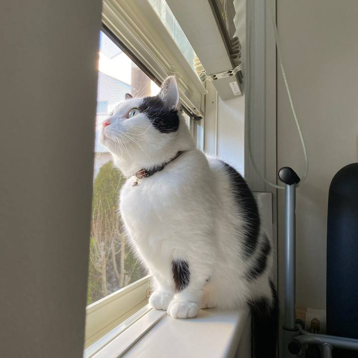 70d287bd dff1 4269 b5ea 1763c325df7c 1774565520417