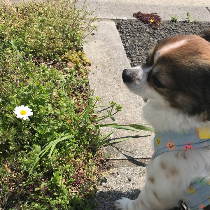 70d2ccb3 2d97 466a ab8c e13f63b8584c 1521950421512