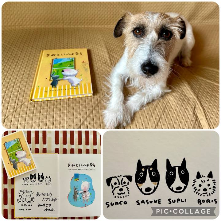 70d30292 b47f 4d97 b147 2a93a09368c4 1717575319768