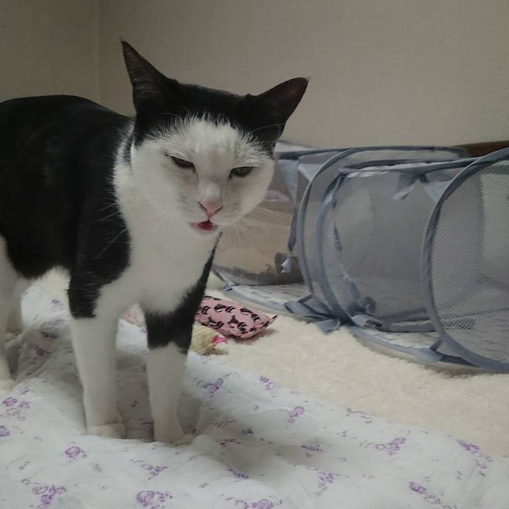 70d312c9 f731 4c35 ae93 32cb90bf162e 1516323942142