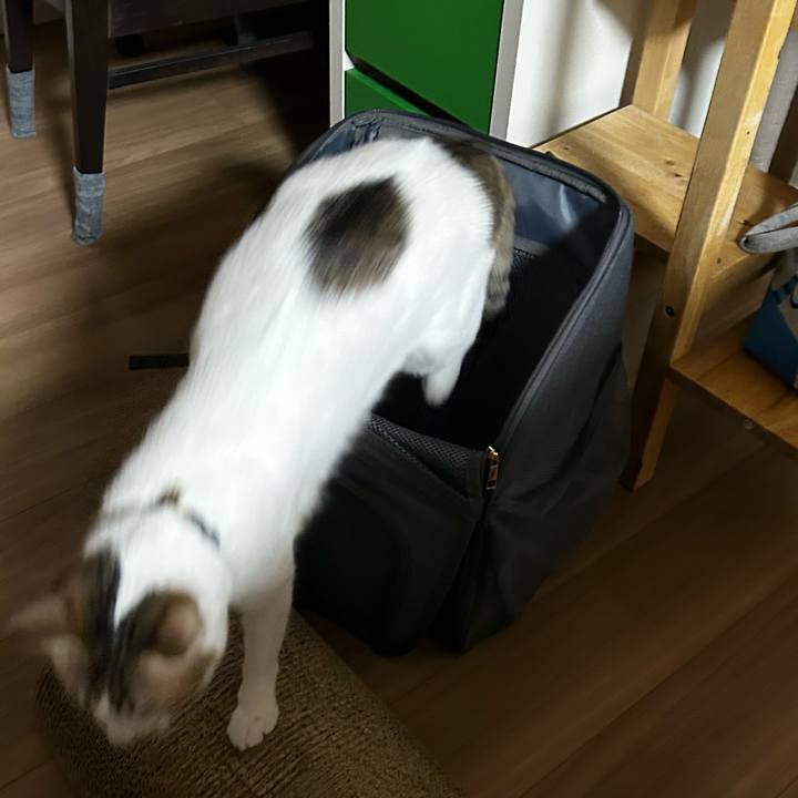 70d3192d e799 457a a702 a770e1f59989 1760738957126