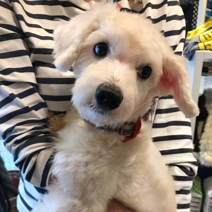 70d31b22 e738 4824 8830 095fd3fe856e 1508945360903