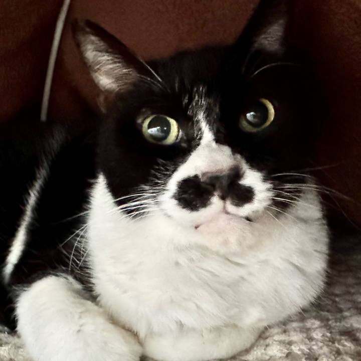 70d31cfe 7cd6 4a73 9210 54640509e5a4 1736813825360