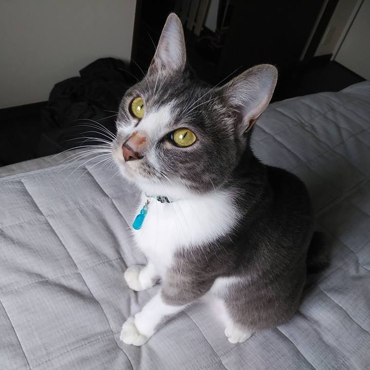 70d35370 042f 47a0 8595 a5b494665028 1594852019240