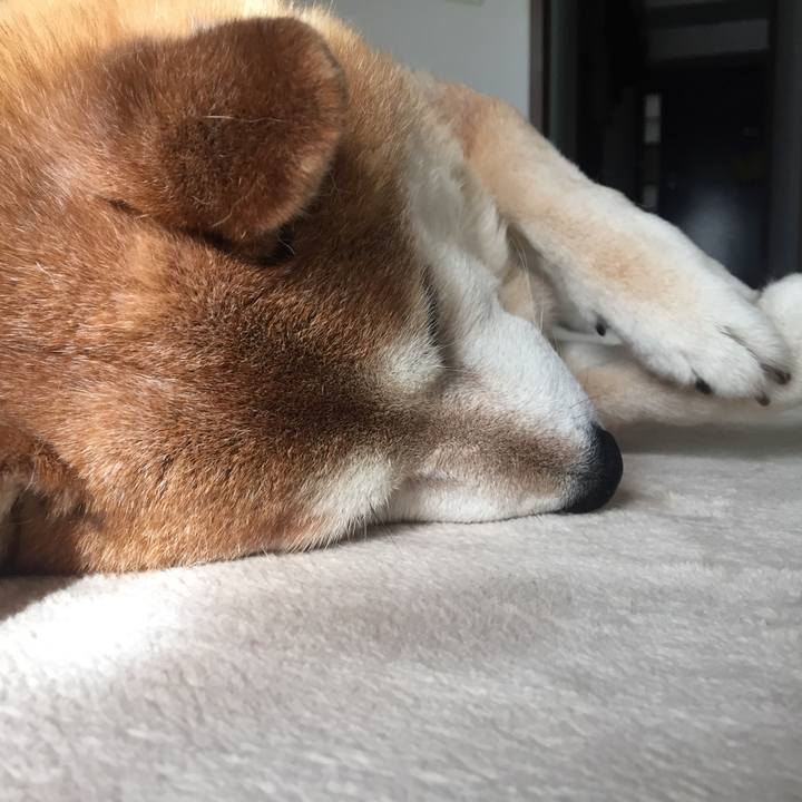 70d371d8 fe83 42f9 9686 a5c355655f61 1525071093647