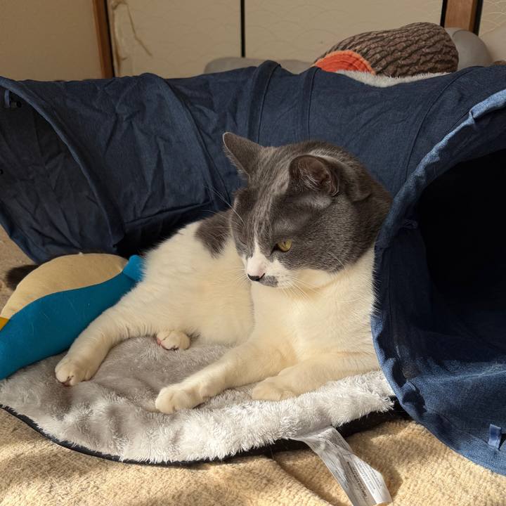 70d3b477 13c8 41c5 b90b d5d91e9f4ae0 1768106322222