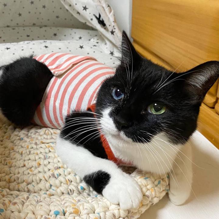 70d3cf8e 328a 4ebd b084 0986a3c59292 1635678411016