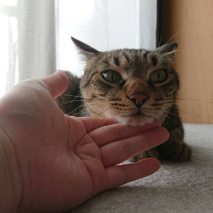 70d3e34a 0d77 457d 9cf3 b87f2c8efe93 1593226998803