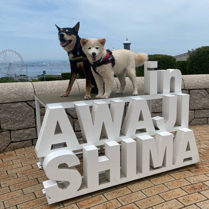 70d42219 aa91 43c5 9d3c 4b7dcf40ca6d 1716258351076