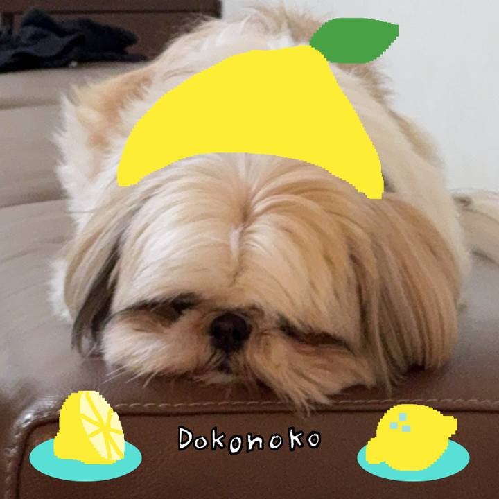 70d42e01 4301 4598 bd09 01a201e5f79a 1741342608240