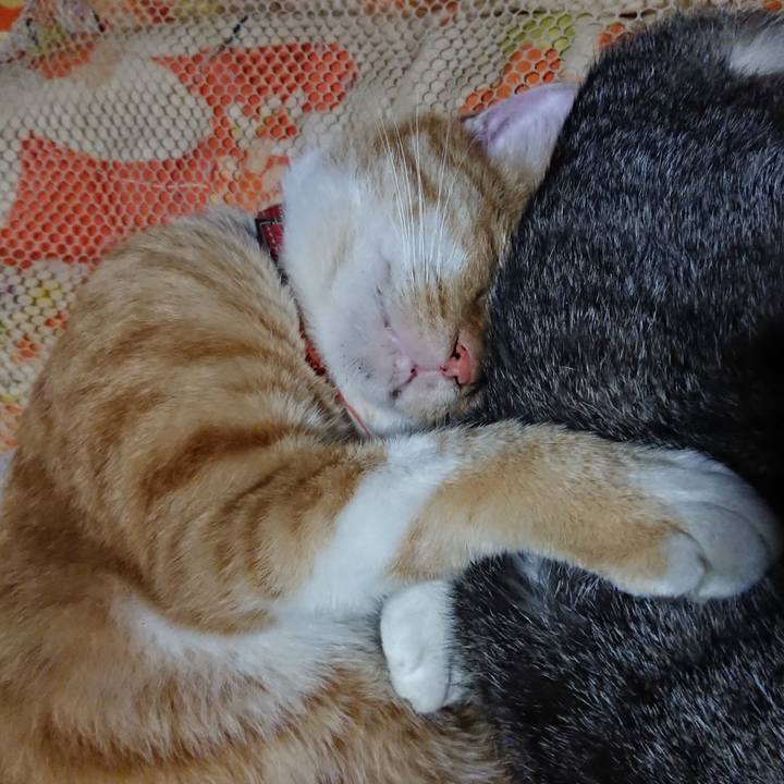 70d43ccb c300 484c b666 2750cad2384e 1572100106042