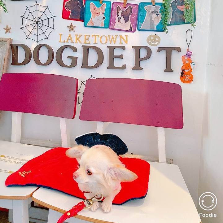 70d44bec d94a 47ae 8509 1f944528e233 1634019373472