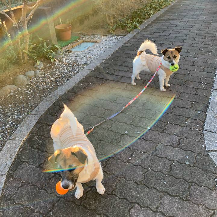 70d46262 7336 4458 88c2 651635301d6b 1641034983724