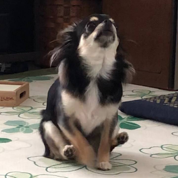 70d484db d0eb 44e2 bd21 7e31cdf5f5a0 1659473718704