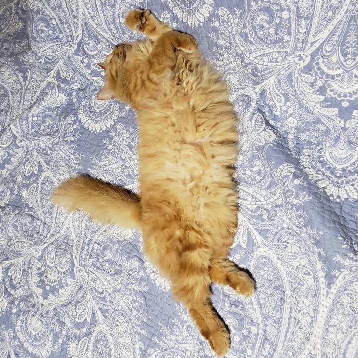 70d49788 e4a4 4425 9ab0 023899e19ffa 1753972194941