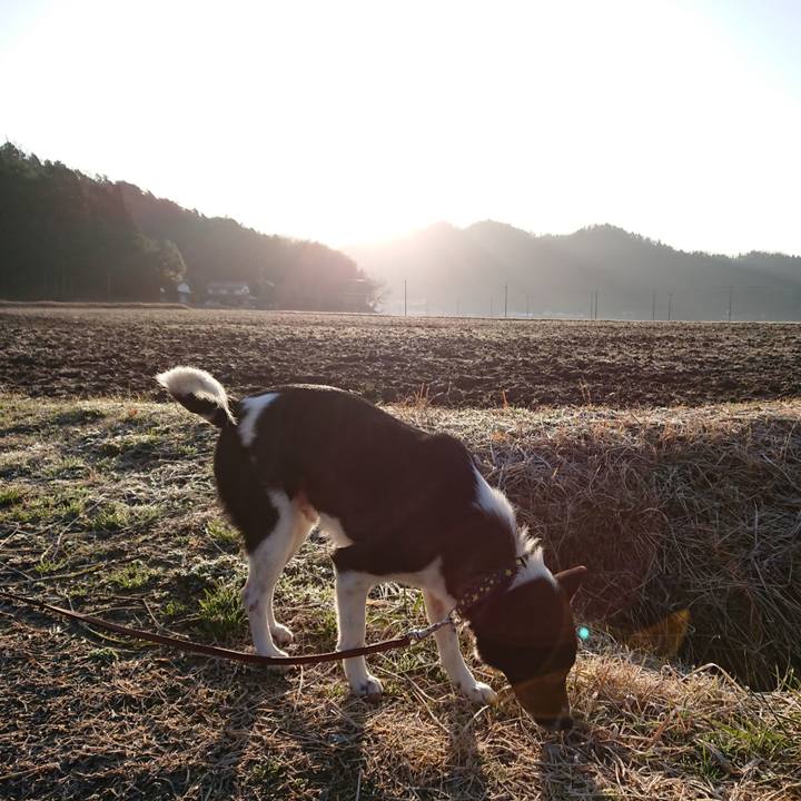 70d4abb3 c155 400e a69c df5d1982ebbb 1580857522969