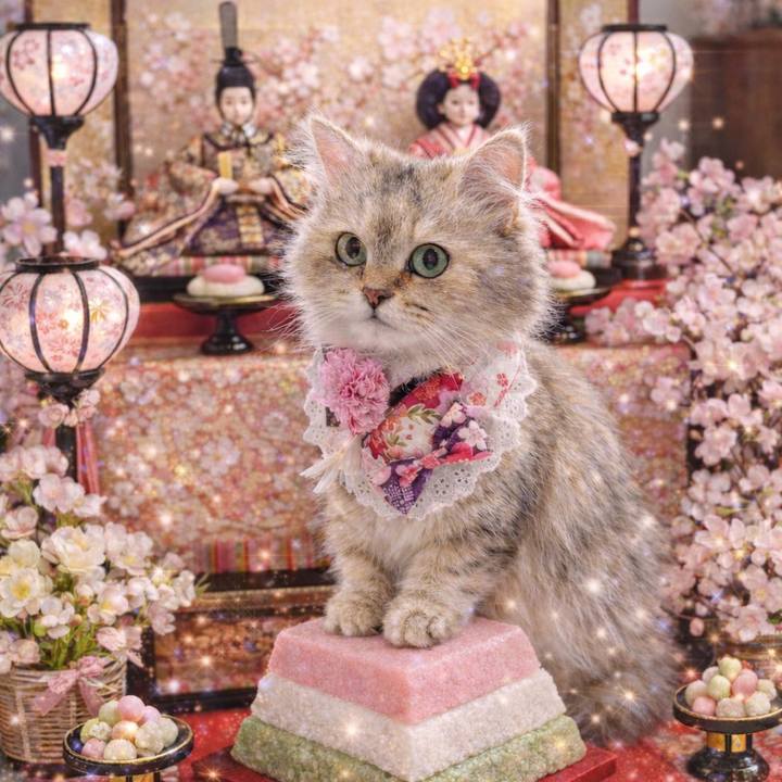 70d4bd64 d27b 4ad3 acae b2d66ae0b381 1772719634645