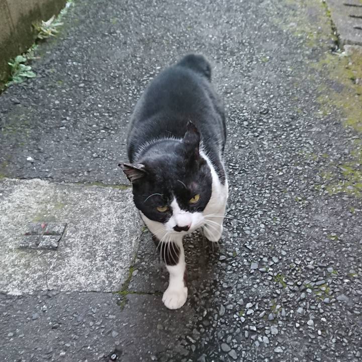 70d4c875 6203 4728 b790 4cd18d2b56b8 1582761127589