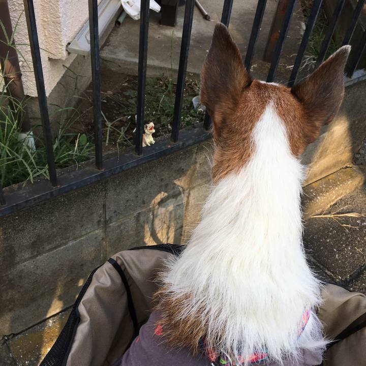 70d4e474 c6f9 411d 8c30 9512e186bd3f 1633477510150