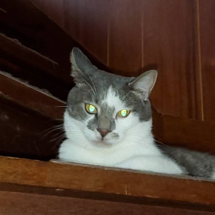 70d5264f 8a35 4eff ac37 b7e05a5c613f 1730372601305