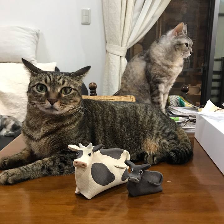 70d52a38 517b 4941 9ea1 7d7bec5dcef0 1610190676456