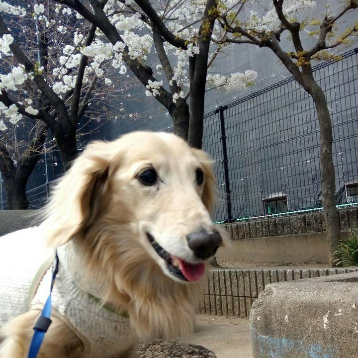 70d53537 d585 4b95 9656 daadeb6ad7dd 1586081109818